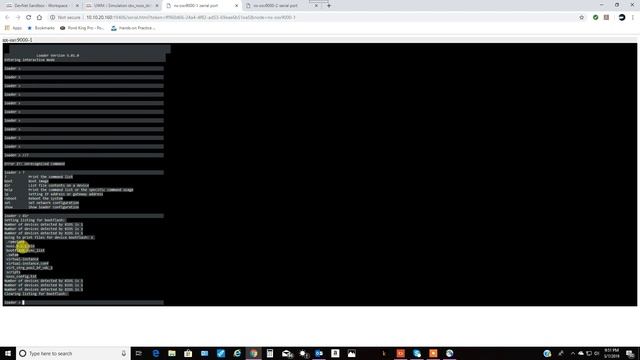 NX OS DevNet смотреть онлайн