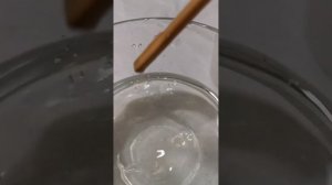 Выращивание соляных кристаллов. Опыт, биология 5 класс