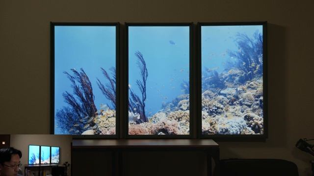 慶良間の海 アトモフウインドウ （kerama sea atmoph window） смотреть онлайн
