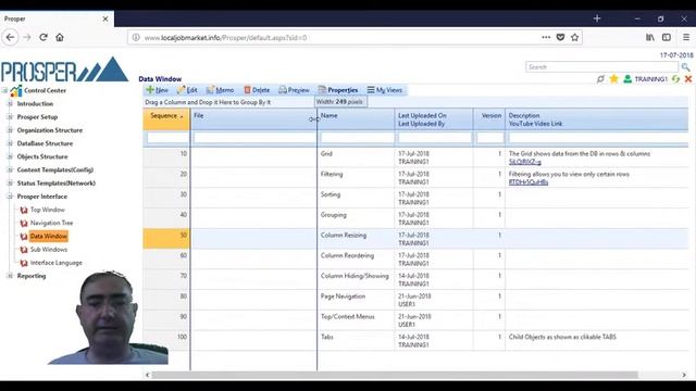 Prosper Interface Data Window Column Resizing смотреть онлайн