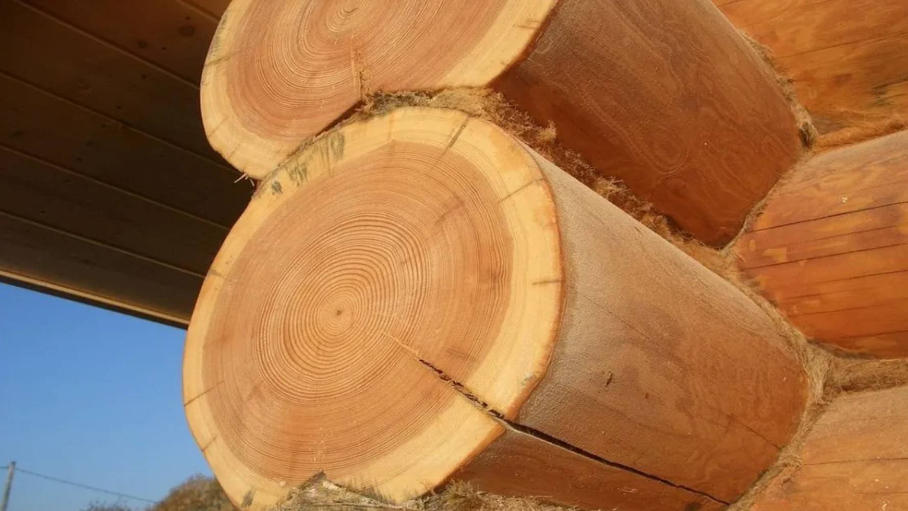 Шлифовка бревна сруба и бруса. Зачем шлифуют сруб из бревна и бруса. Как и чем шлифуют сруб дома. смотреть онлайн