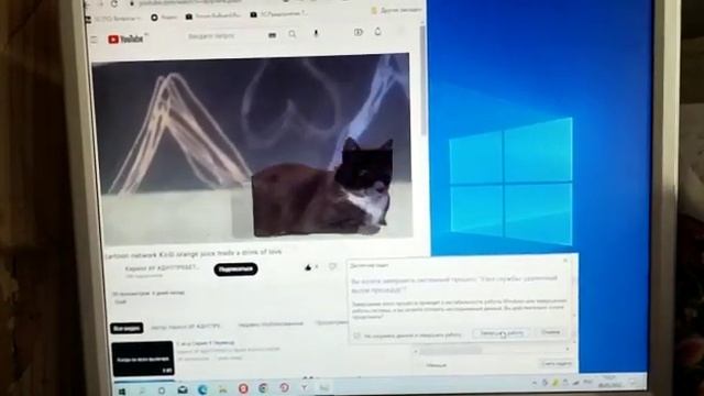 cartoon network Kirill orange juice made a drink of love Has Bsod смотреть онлайн