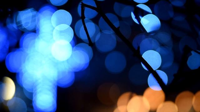 БОКЕ ЧУДНЫЙ ФУТАЖ ФОН со сломанной веточкой смотреть онлайн