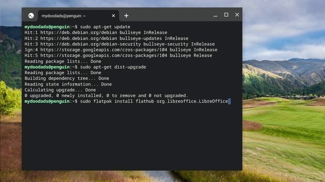 ChromeOS | Linux Development Environment | Install LibreOffice onto a Chromebook смотреть онлайн