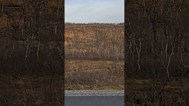 Тунгусский метеорит упал в Норвегию... смотреть онлайн
