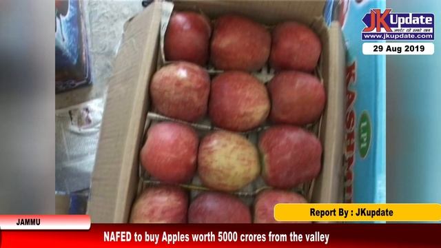 NAFED to buy Apples worth 5000 crores from the valley смотреть онлайн