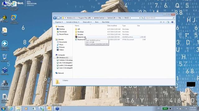 Sentinel Support - Sentinel LDK - Win CE Support смотреть онлайн