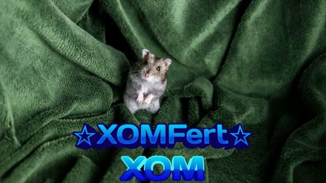 XOMFert - XOM prod. Про Windows (official video 2022) смотреть онлайн