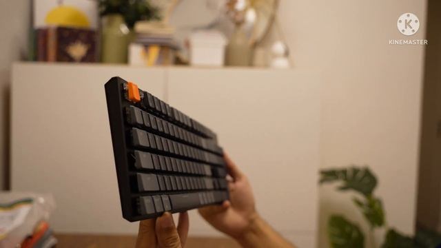 Keychron K5. Low profile, full size. Is it the best keyboard?? #keychron #Keychronk5 Tech Dazzle смотреть онлайн