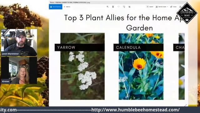 Gardening, Herbalsim and Gardening w/ Survival Betty смотреть онлайн