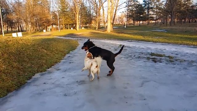 Slow motion x8 n9005 смотреть онлайн