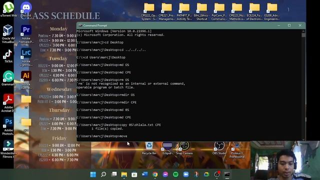 Activity 1: Windows CMD Exploration | Curran, Sarfeil Dave & Busbus, Mark смотреть онлайн