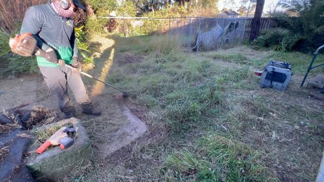 Helped This Mother Clean Her NEGLECTED And Out Of Control Backyard | At No Charge To Her | Part 2 смотреть онлайн