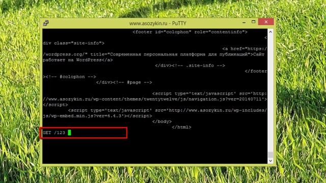 HTTP в текстовом режиме Практика по курсу Компьютерные сети смотреть онлайн