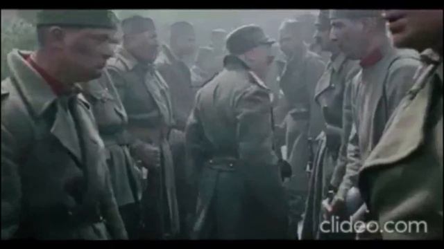 FC Bajern - FK Crvena Zvezda.mp4 смотреть онлайн