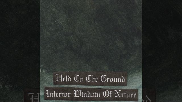 Climbing Through Windows смотреть онлайн