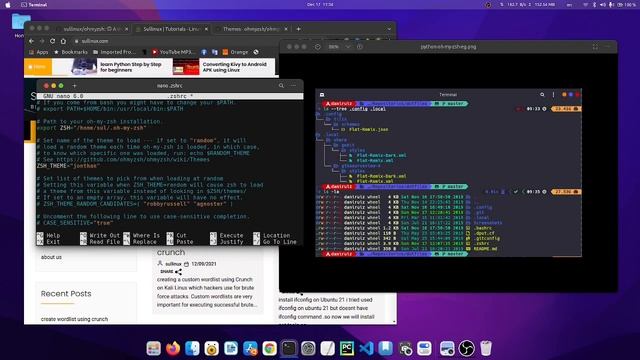 install zsh&themes on Ubuntu #zsh смотреть онлайн
