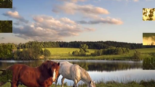 -Не уходи, побудь со мною. Пелагея смотреть онлайн