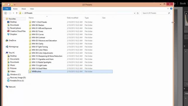 How to Install Brush Presets in Lightroom смотреть онлайн