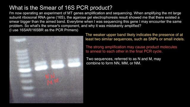 Two bands instead one - what is the reason? смотреть онлайн