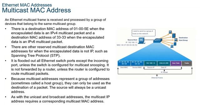 Module 7 Ethernet Switching смотреть онлайн