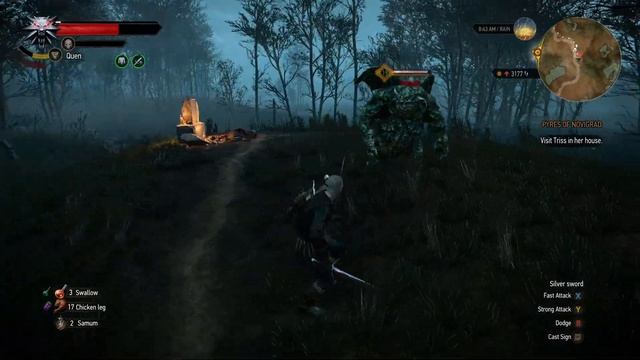 Let's Play: The Witcher 3: Wild Hunt - Part 17 - No Commentary (Windows 11) смотреть онлайн