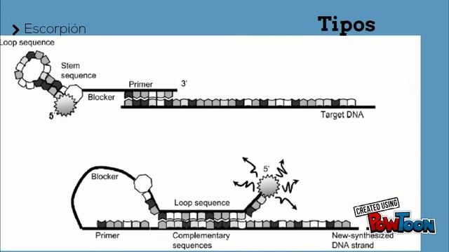 PCR - Diagnóstico Molecular смотреть онлайн
