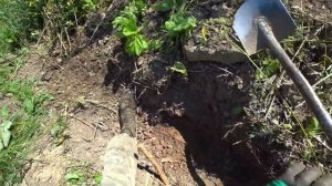 МАГНИТОМЕТР ГЕФЕСТ-4. БОЛЬШИЕ НАХОДКИ НА ВЫБИТОЙ ТЕРРИТОРИИ!