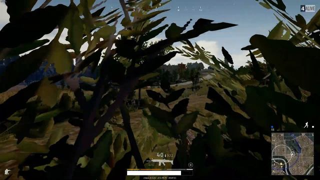 PUBG 14k solo win FPP смотреть онлайн