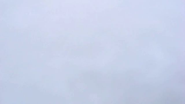 The Fish by Marianne Moore смотреть онлайн