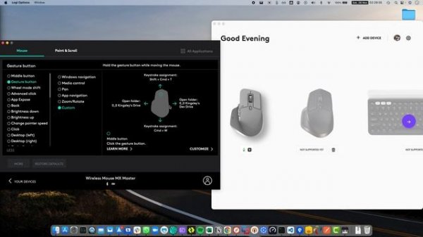 Logitech Options Plus (Options+) - UI design issue with custom gesture config.