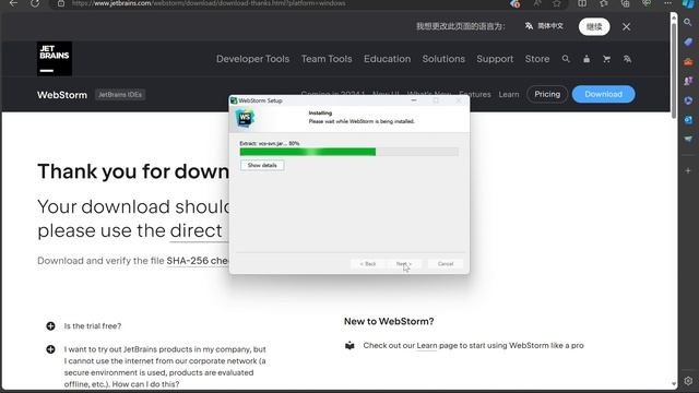 Downloading and install Webstorm on Windows 11 смотреть онлайн