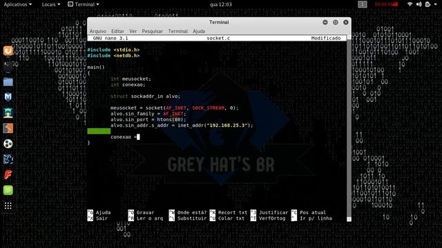 Socket em C смотреть онлайн