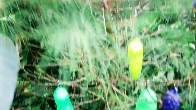 Picking fruit toys Soursop Water Guava Garlic Lemon Star Fruit Mangosteen Snake fruit Banana Orange смотреть онлайн