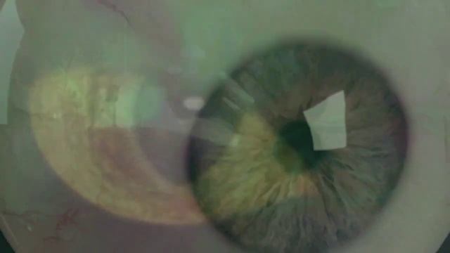 The Eyes are the Window to the Soul смотреть онлайн