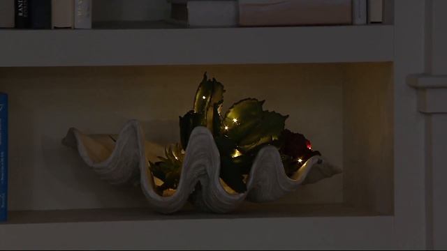 Bethlehem Lights Set of 4 Indoor/Outdoor Fairy Micro Light Strands on QVC смотреть онлайн