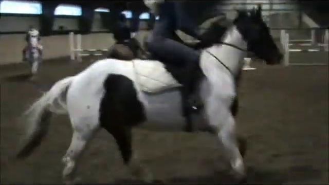 Cabaret training jumping for the third time.. Marlboro sprangtrening nr 3.wmv смотреть онлайн