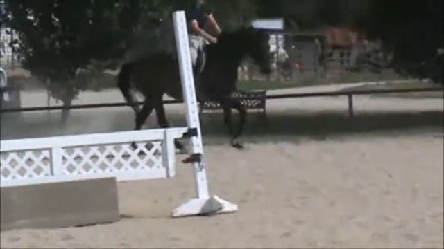 Neverland - packing starter horse смотреть онлайн