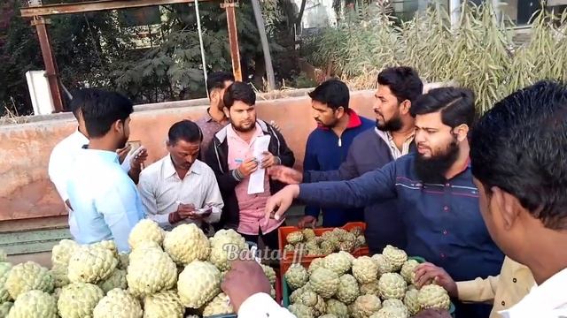 सिताफल कि होलसेल मार्केट || custard apple wholesale market || सिताफळ मार्केट смотреть онлайн