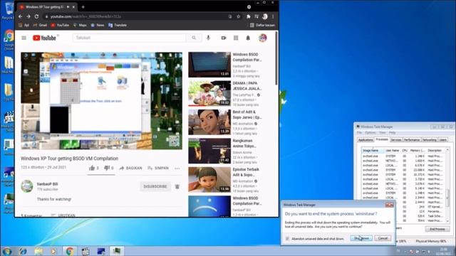 Killing Winninit.exe Causes BSOD смотреть онлайн