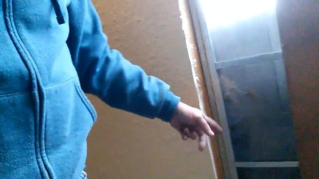 Solo Field windows(5) смотреть онлайн
