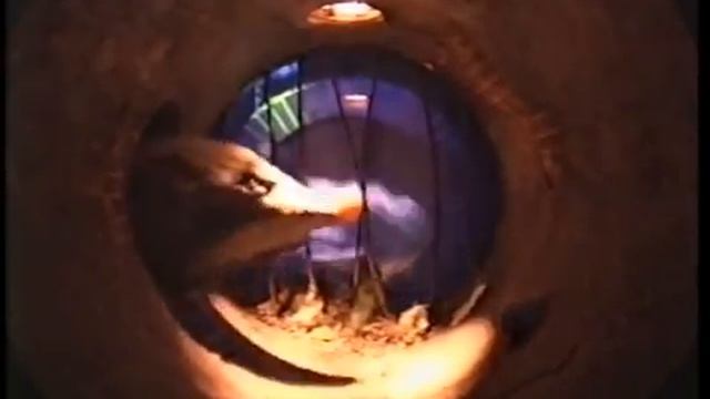 Dodgy Blue Screen Kids - Sewer Rat смотреть онлайн