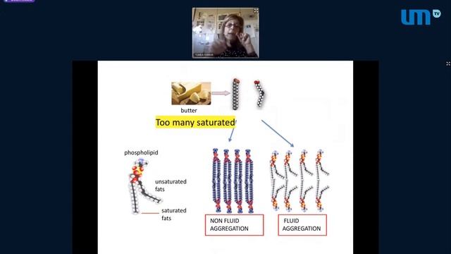 Open Lecture - dr C. Ferreri - Lipidomics in Oncology: cell membrane as new target for oncologist смотреть онлайн