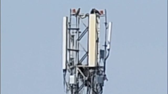 Huawei P60 Pro Live Zoom Test смотреть онлайн
