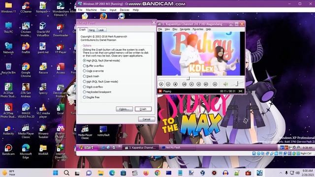 Windows XP BSOD 517 (2023) смотреть онлайн