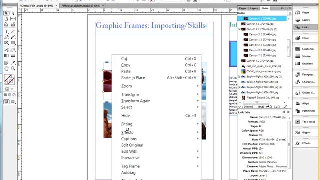 Donna Caldwell CS 72 11A Adobe InDesign 1 Graphic Frames 02 28 2013 смотреть онлайн