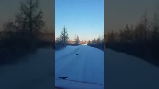 Зимник 2017 смотреть онлайн