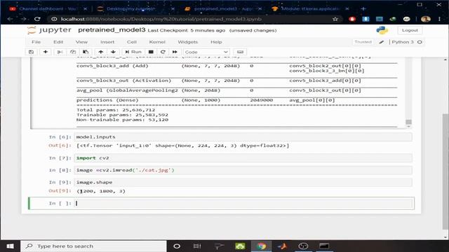 How to Download Popular Pretrained Model and Classify Images Using the Models in Tensorflow /Python смотреть онлайн