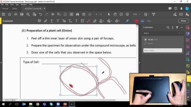 Using a Pen Tablet with Adobe Acrobat смотреть онлайн