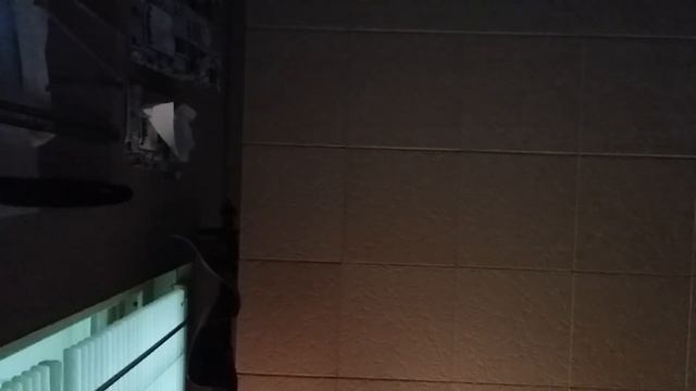 Windows NT 5.0 startup sound through my brothers garbage Kinyo speakers смотреть онлайн